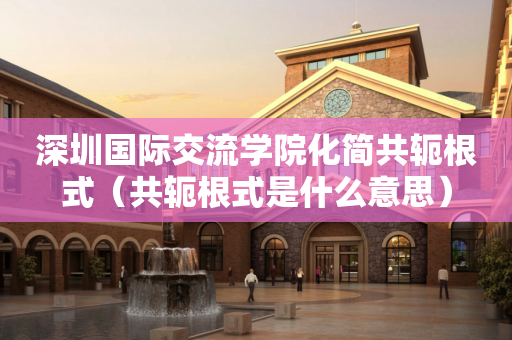 深圳国际交流学院化简共轭根式（共轭根式是什么意思）