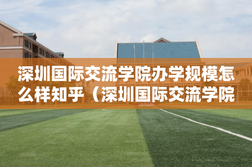 深圳国际交流学院办学规模怎么样知乎（深圳国际交流学院是什么体系）