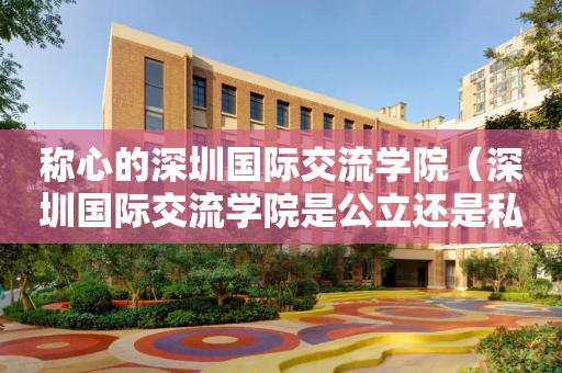 称心的深圳国际交流学院（深圳国际交流学院是公立还是私立）