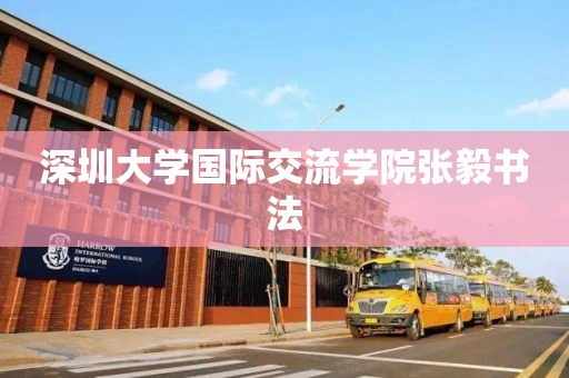 深圳大学国际交流学院张毅书法