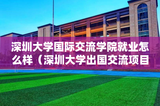深圳大学国际交流学院就业怎么样（深圳大学出国交流项目）