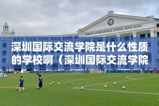 深圳国际交流学院是什么性质的学校啊（深圳国际交流学院是初中还是高中）