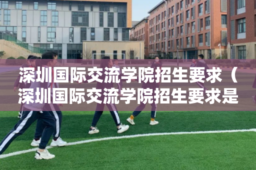 深圳国际交流学院招生要求（深圳国际交流学院招生要求是什么）