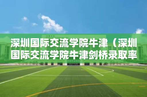 深圳国际交流学院牛津（深圳国际交流学院牛津剑桥录取率）