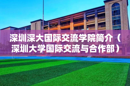 深圳深大国际交流学院简介（深圳大学国际交流与合作部）
