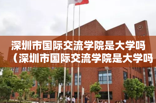 深圳市国际交流学院是大学吗（深圳市国际交流学院是大学吗还是专科）