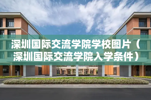 深圳国际交流学院学校图片（深圳国际交流学院入学条件）