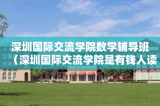 深圳国际交流学院数学辅导班（深圳国际交流学院是有钱人读的吗）