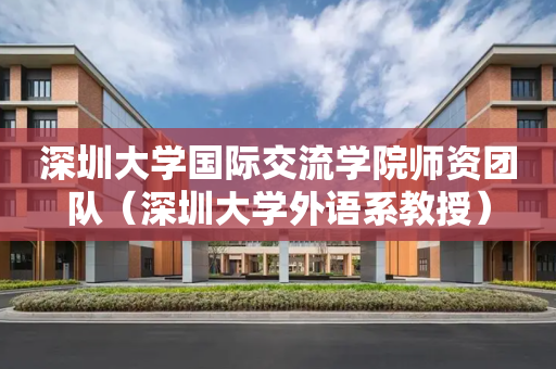 深圳大学国际交流学院师资团队（深圳大学外语系教授）