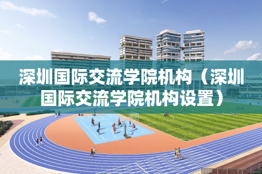 深圳国际交流学院机构（深圳国际交流学院机构设置）