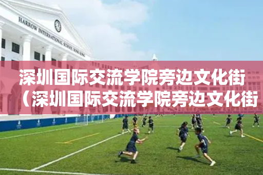 深圳国际交流学院旁边文化街（深圳国际交流学院旁边文化街是什么）