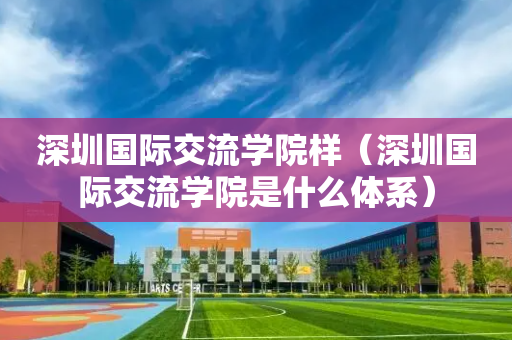 深圳国际交流学院样（深圳国际交流学院是什么体系）