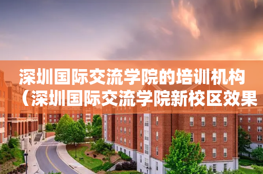 深圳国际交流学院的培训机构（深圳国际交流学院新校区效果图）