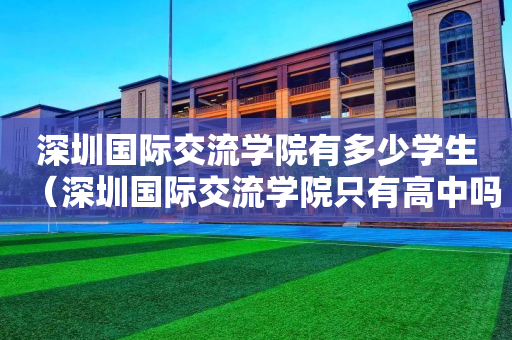 深圳国际交流学院有多少学生（深圳国际交流学院只有高中吗）