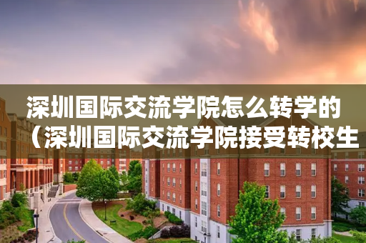 深圳国际交流学院怎么转学的（深圳国际交流学院接受转校生）