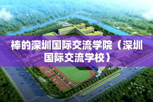 棒的深圳国际交流学院（深圳国际交流学校）