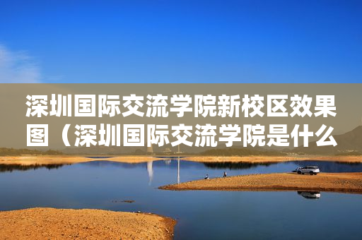 深圳国际交流学院新校区效果图（深圳国际交流学院是什么体系）