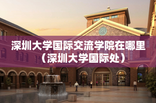 深圳大学国际交流学院在哪里（深圳大学国际处）