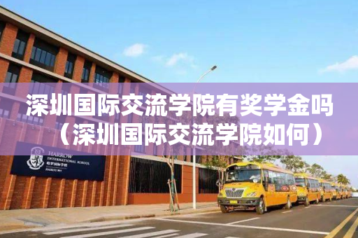 深圳国际交流学院有奖学金吗（深圳国际交流学院如何）