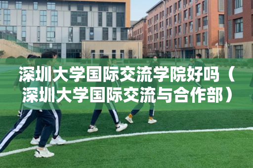 深圳大学国际交流学院好吗（深圳大学国际交流与合作部）