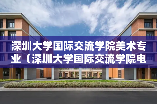 深圳大学国际交流学院美术专业（深圳大学国际交流学院电话）