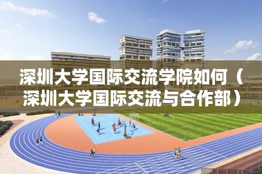 深圳大学国际交流学院如何（深圳大学国际交流与合作部）