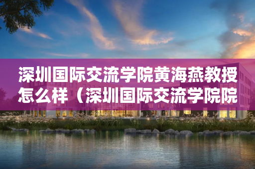 深圳国际交流学院黄海燕教授怎么样（深圳国际交流学院院长）