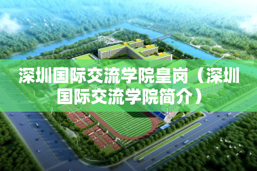 深圳国际交流学院皇岗（深圳国际交流学院简介）