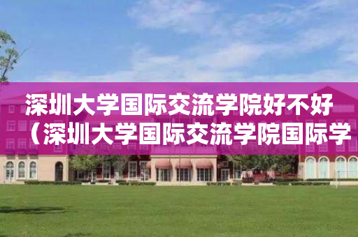 深圳大学国际交流学院好不好（深圳大学国际交流学院国际学分课程）