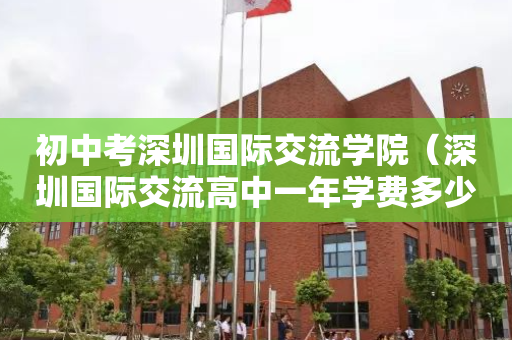 初中考深圳国际交流学院（深圳国际交流高中一年学费多少）