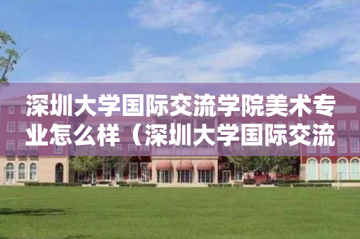 深圳大学国际交流学院美术专业怎么样（深圳大学国际交流与合作部）