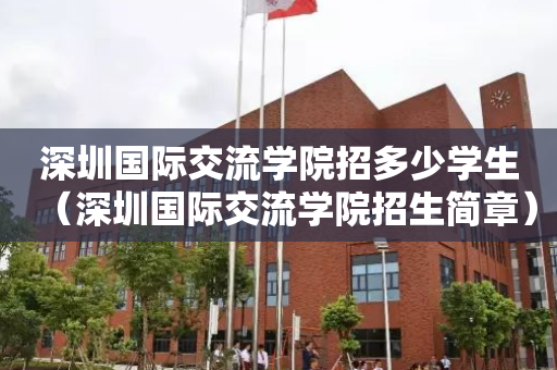 深圳国际交流学院招多少学生（深圳国际交流学院招生简章）