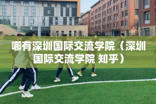 哪有深圳国际交流学院（深圳国际交流学院 知乎）