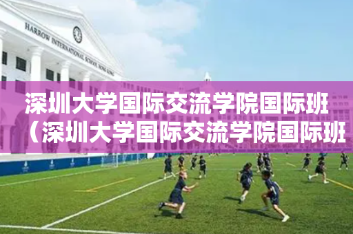 深圳大学国际交流学院国际班（深圳大学国际交流学院国际班招生简章）