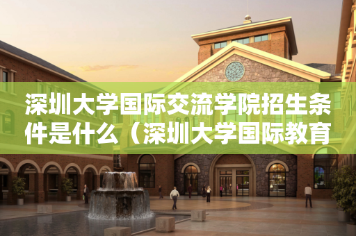深圳大学国际交流学院招生条件是什么（深圳大学国际教育学院）