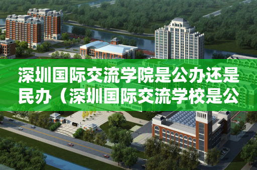 深圳国际交流学院是公办还是民办（深圳国际交流学校是公立还是私立）