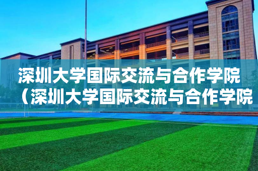 深圳大学国际交流与合作学院（深圳大学国际交流与合作学院院长）