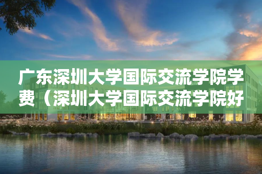 广东深圳大学国际交流学院学费（深圳大学国际交流学院好不好）
