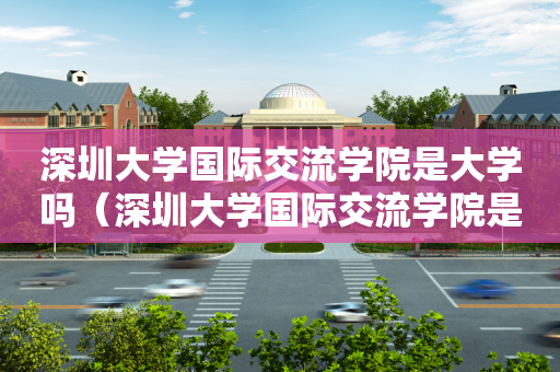 深圳大学国际交流学院是大学吗（深圳大学国际交流学院是大学吗）