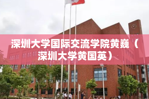 深圳大学国际交流学院黄巍（深圳大学黄国英）