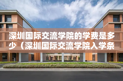 深圳国际交流学院的学费是多少（深圳国际交流学院入学条件）