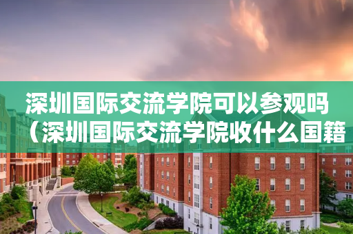 深圳国际交流学院可以参观吗（深圳国际交流学院收什么国籍的学生）