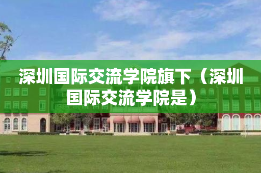 深圳国际交流学院旗下（深圳国际交流学院是）