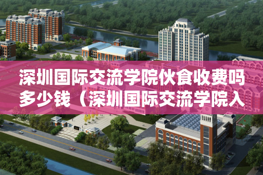 深圳国际交流学院伙食收费吗多少钱（深圳国际交流学院入学难吗）