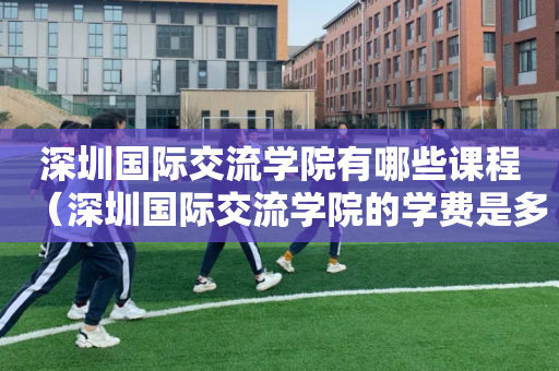 深圳国际交流学院有哪些课程（深圳国际交流学院的学费是多少）