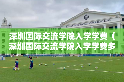 深圳国际交流学院入学学费（深圳国际交流学院入学学费多少）