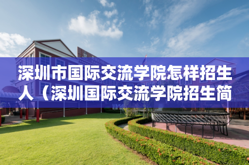 深圳市国际交流学院怎样招生人（深圳国际交流学院招生简章）