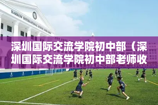 深圳国际交流学院初中部（深圳国际交流学院初中部老师收入）