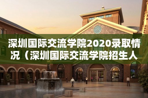 深圳国际交流学院2020录取情况（深圳国际交流学院招生人数）