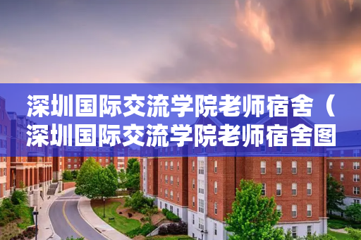 深圳国际交流学院老师宿舍（深圳国际交流学院老师宿舍图片）